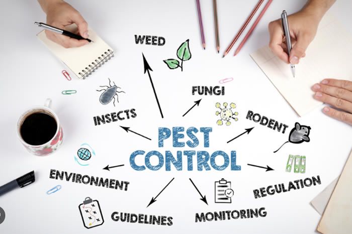 The Ultimate Guide to Seasonal Pest Control